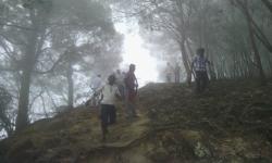 Featured image of post A hill station, the South, and the Backwaters