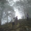 A hill station, the South, and the Backwaters
