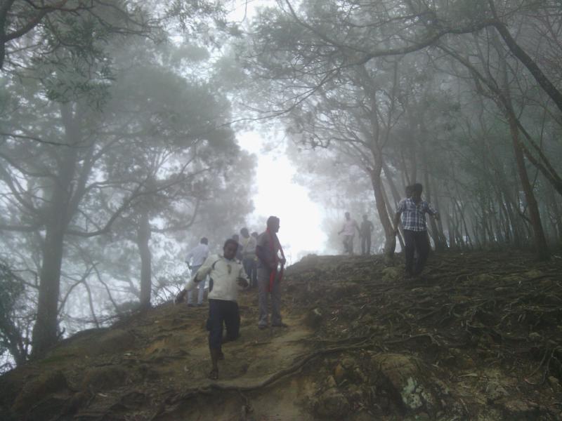Featured image of post A hill station, the South, and the Backwaters