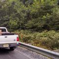 A Wild Roadtrip