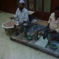 Agra and Delhi