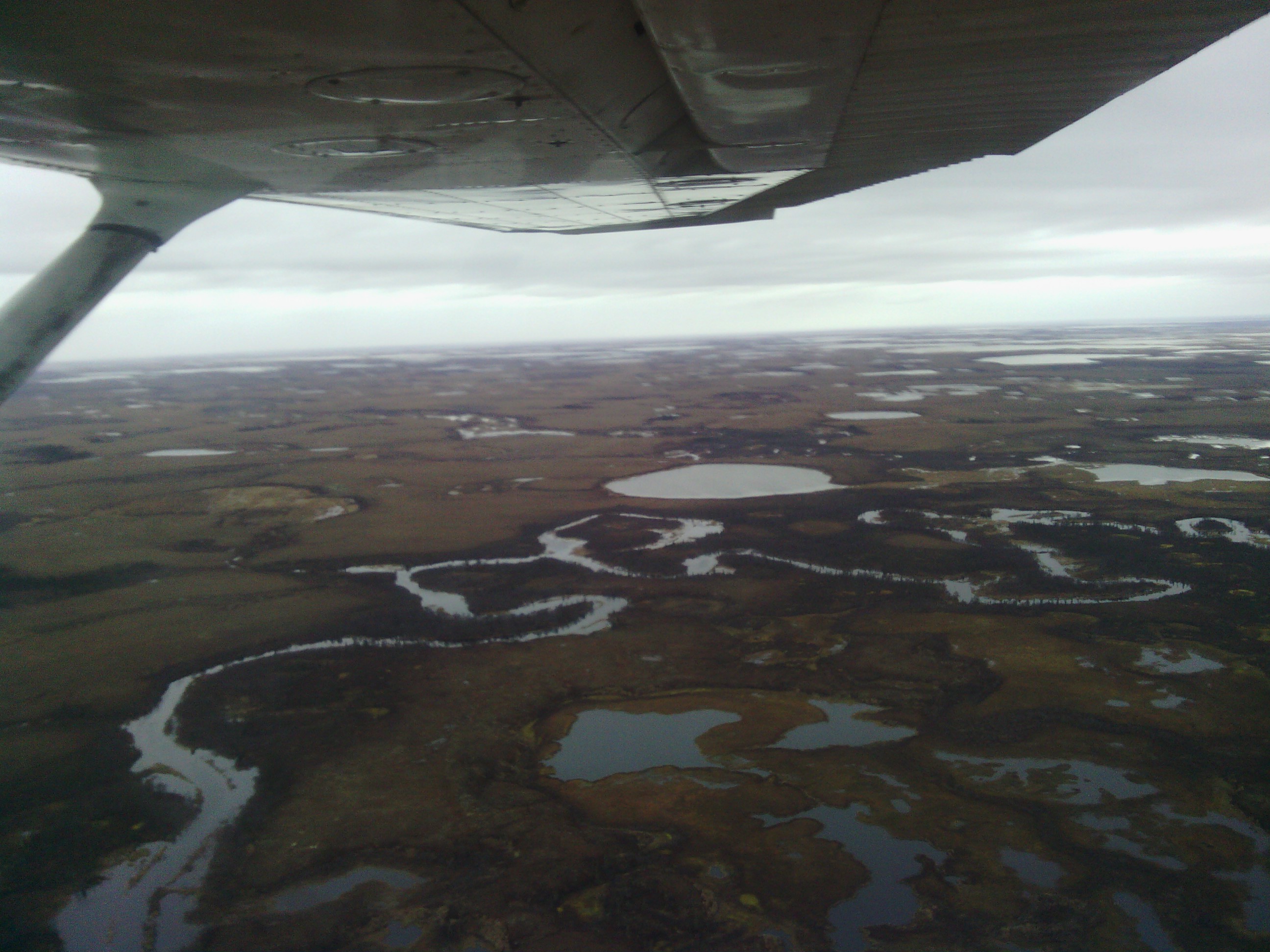 There is a lot of water in the delta