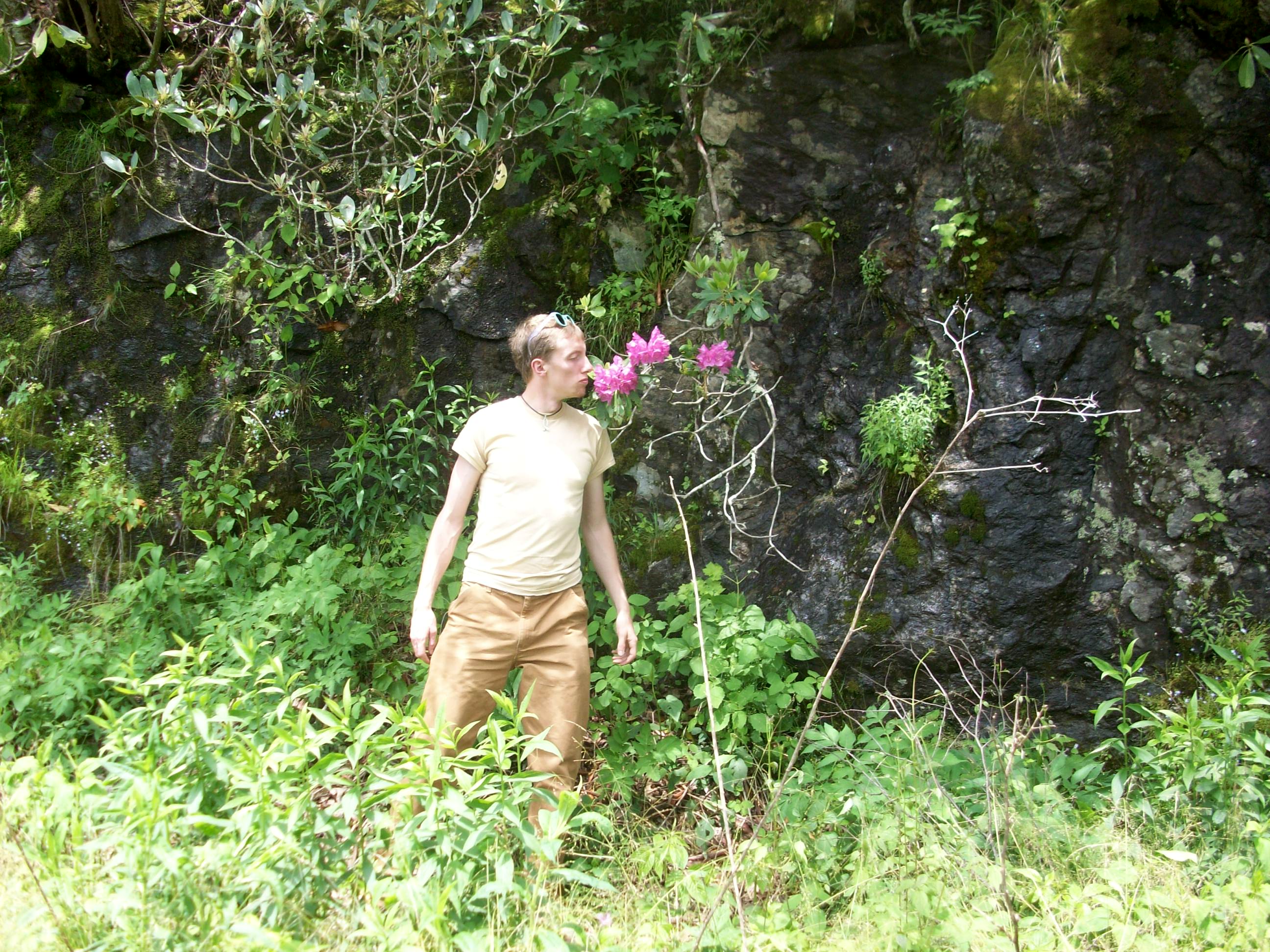 There were also some beautiful flowers along the way.