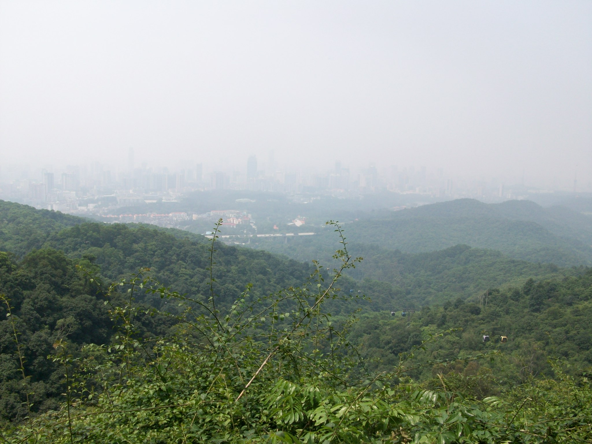 View of the city from part way up.