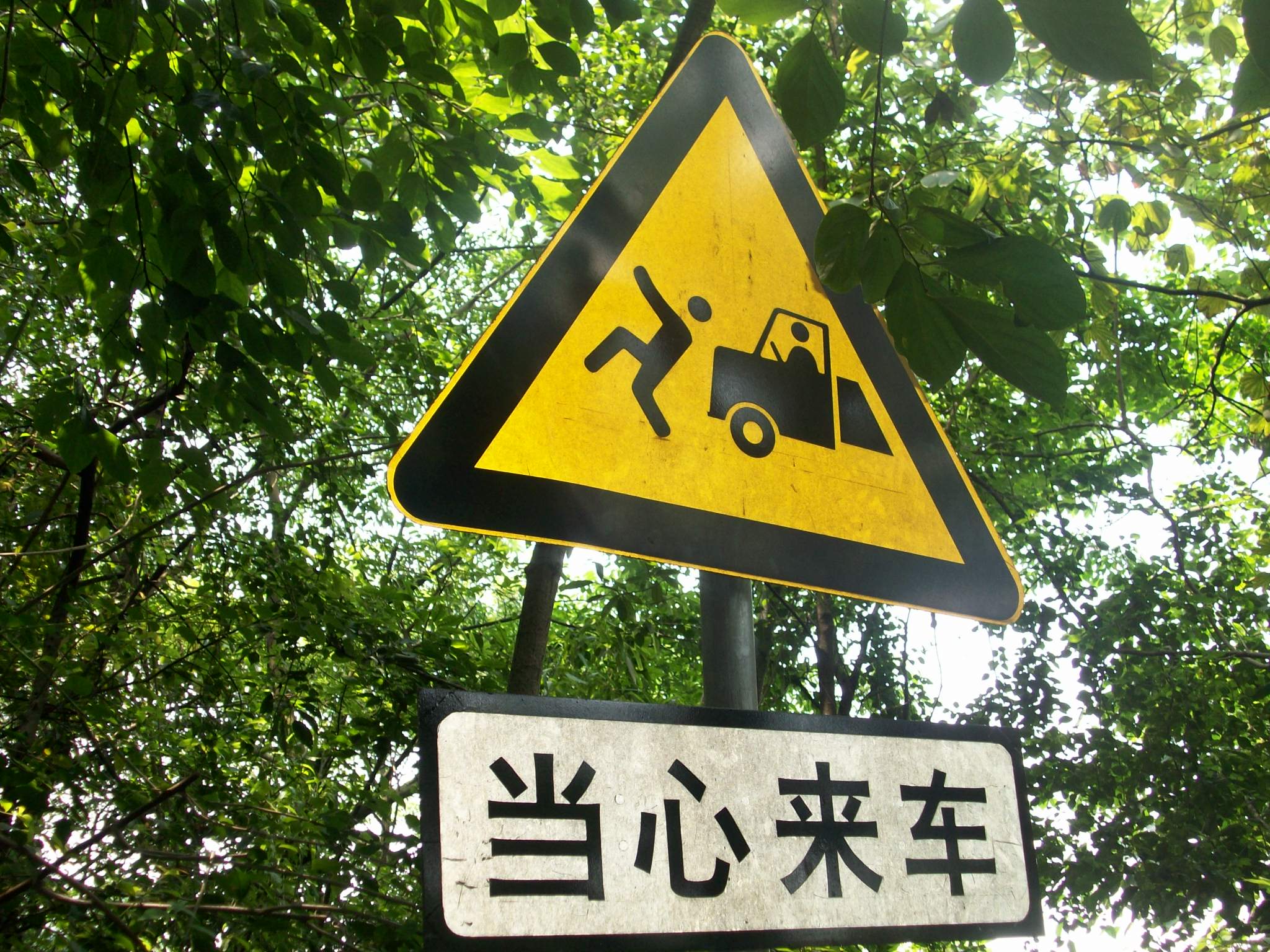 This means:  watch out because drivers will try to run you down!