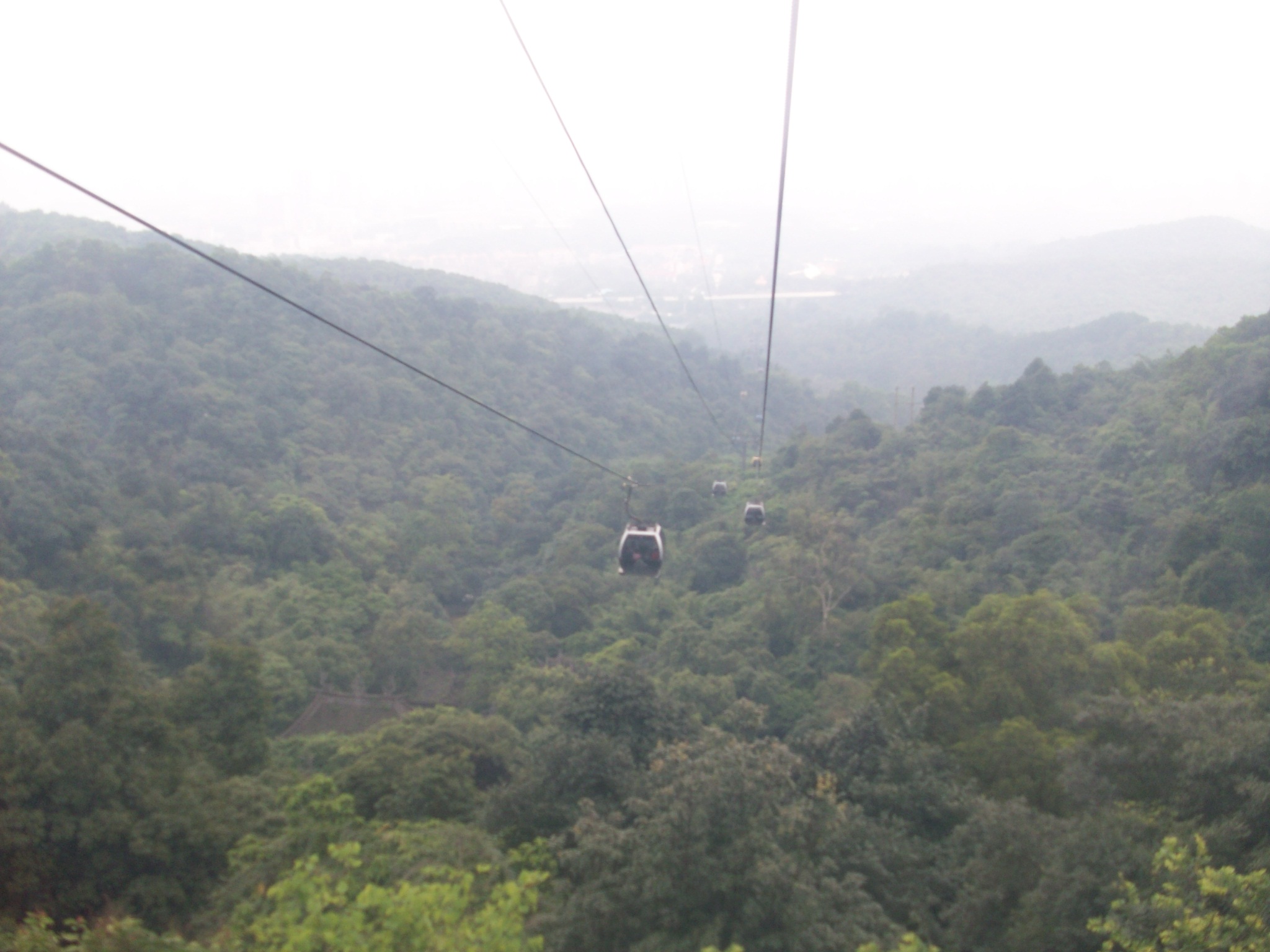 We took the cable car to get back down.