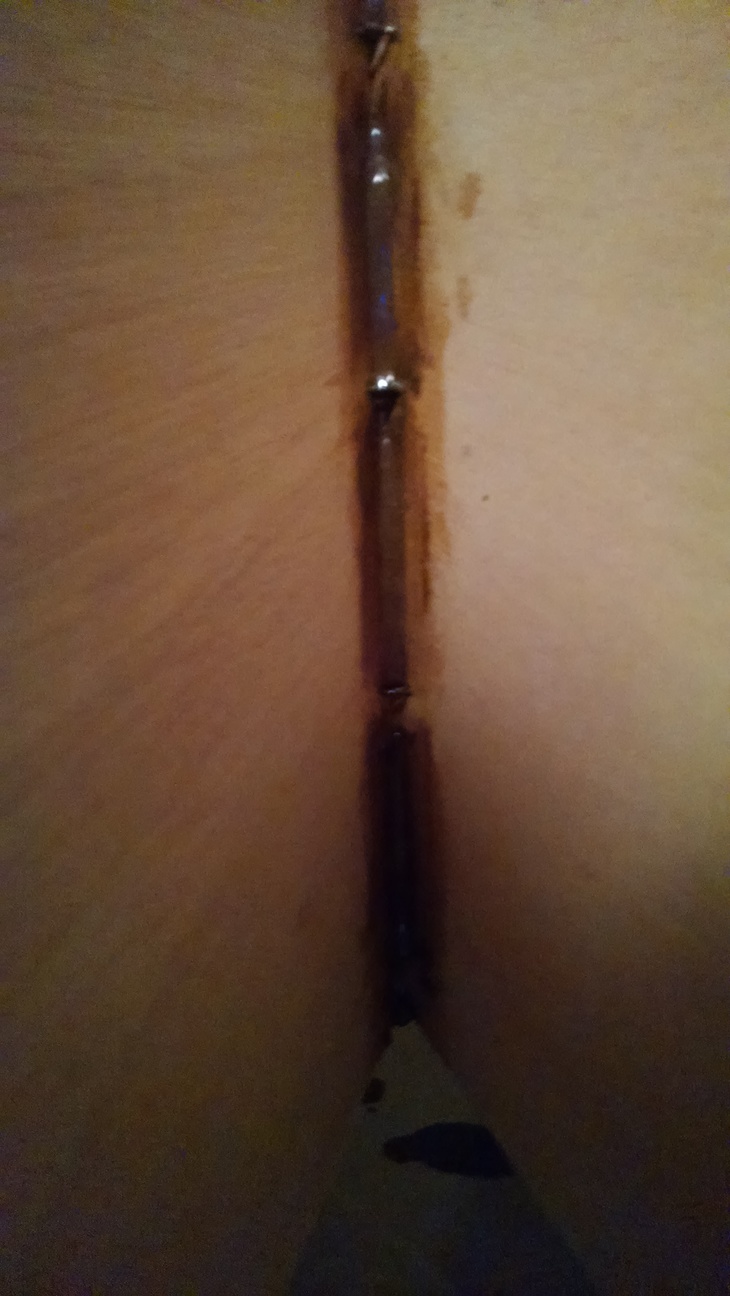 Closeup of the fillet in the bow. After the stitches are removed the fillet will be completed.