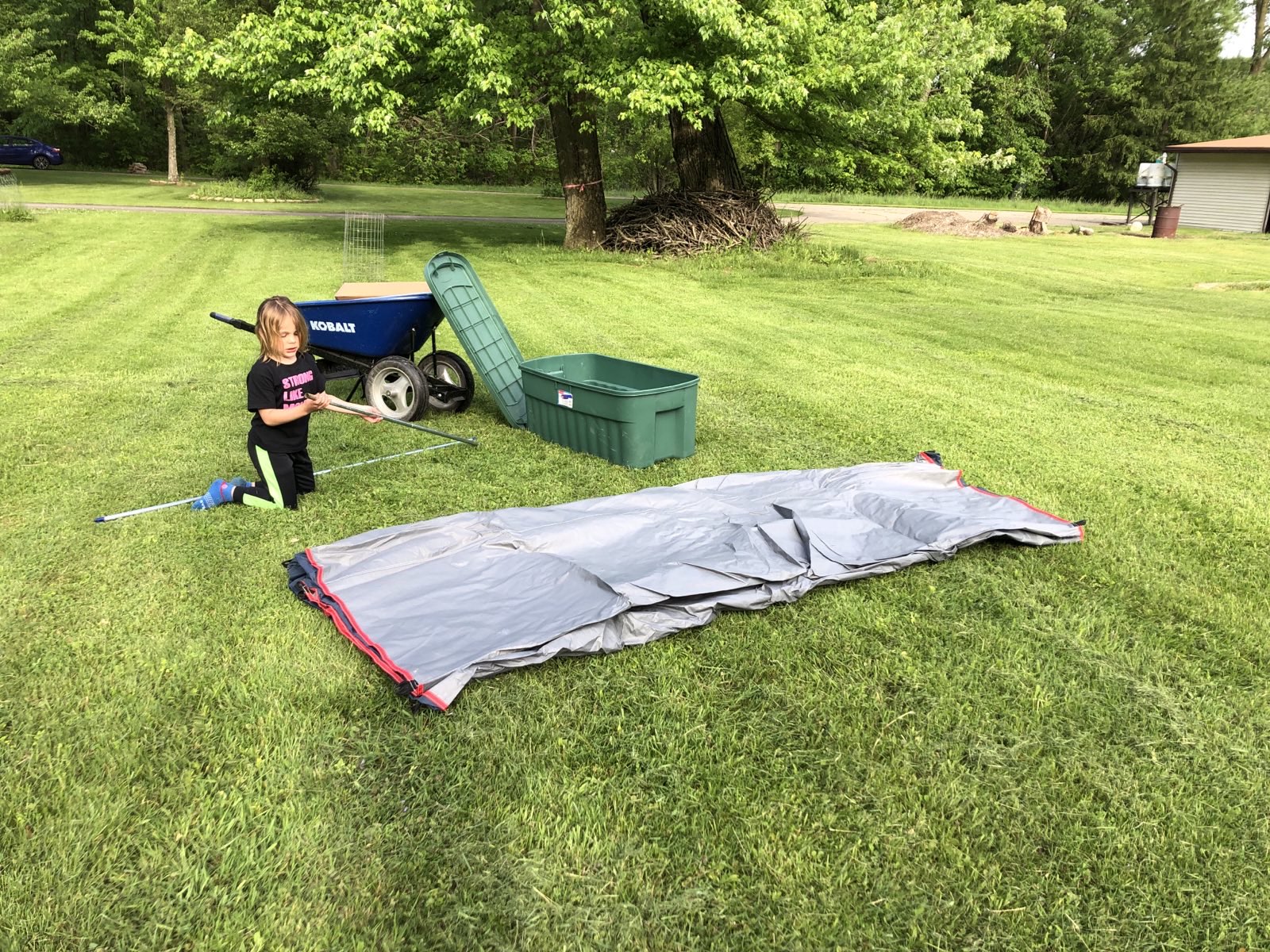 Forest setting up the 8-person tent