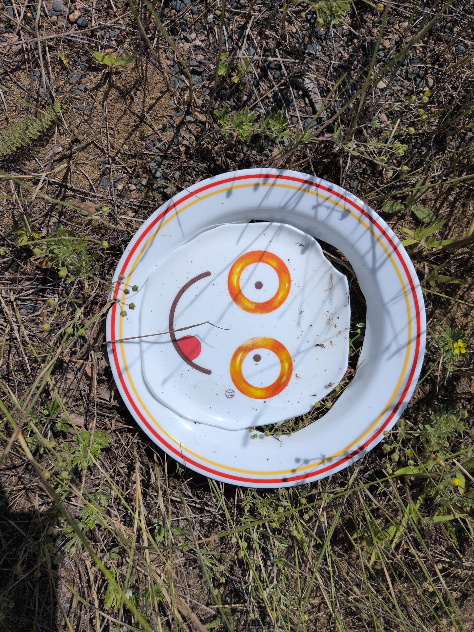 My plate broke overnight from the cold :(