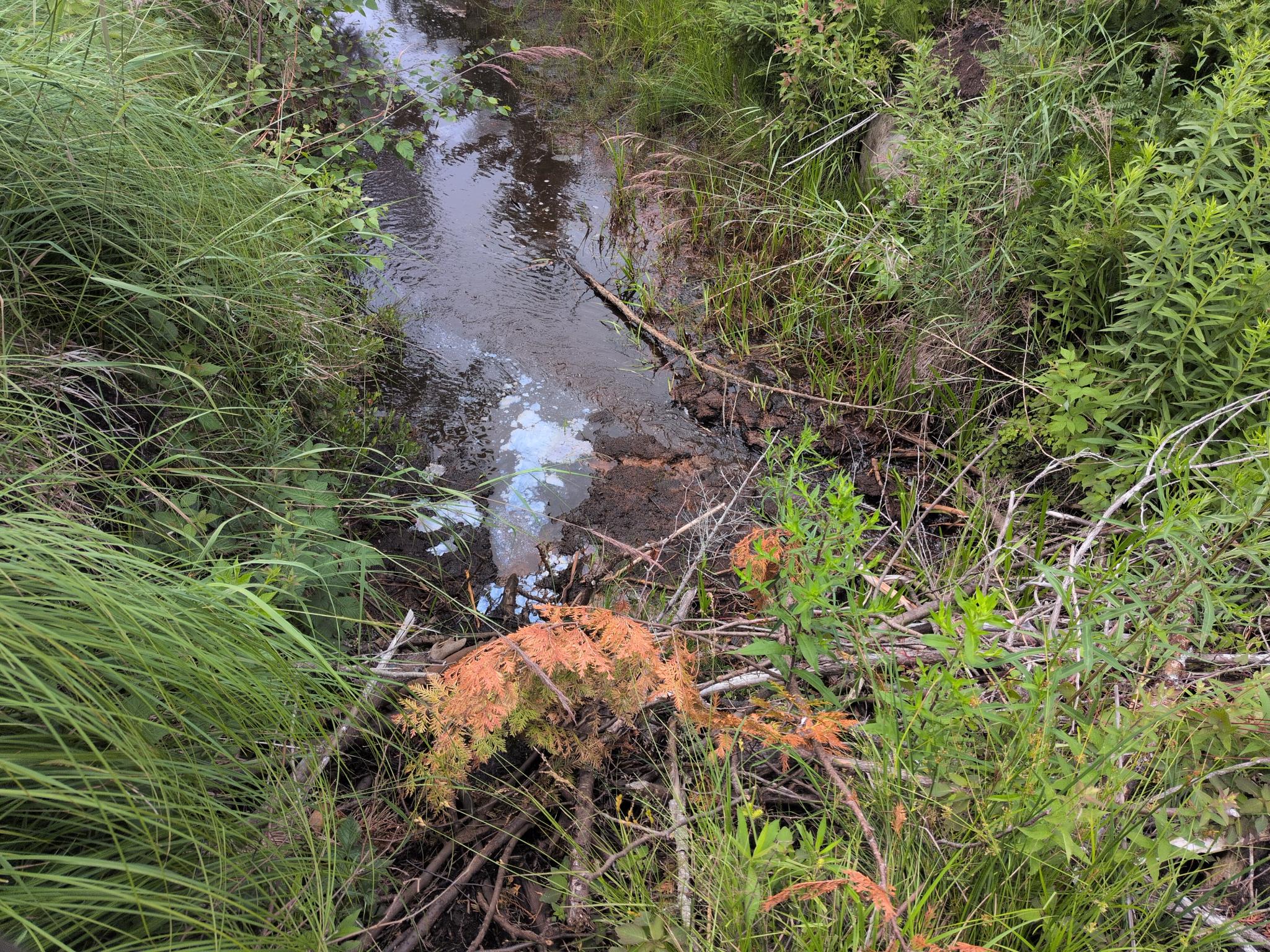 The drain starting to flow better.