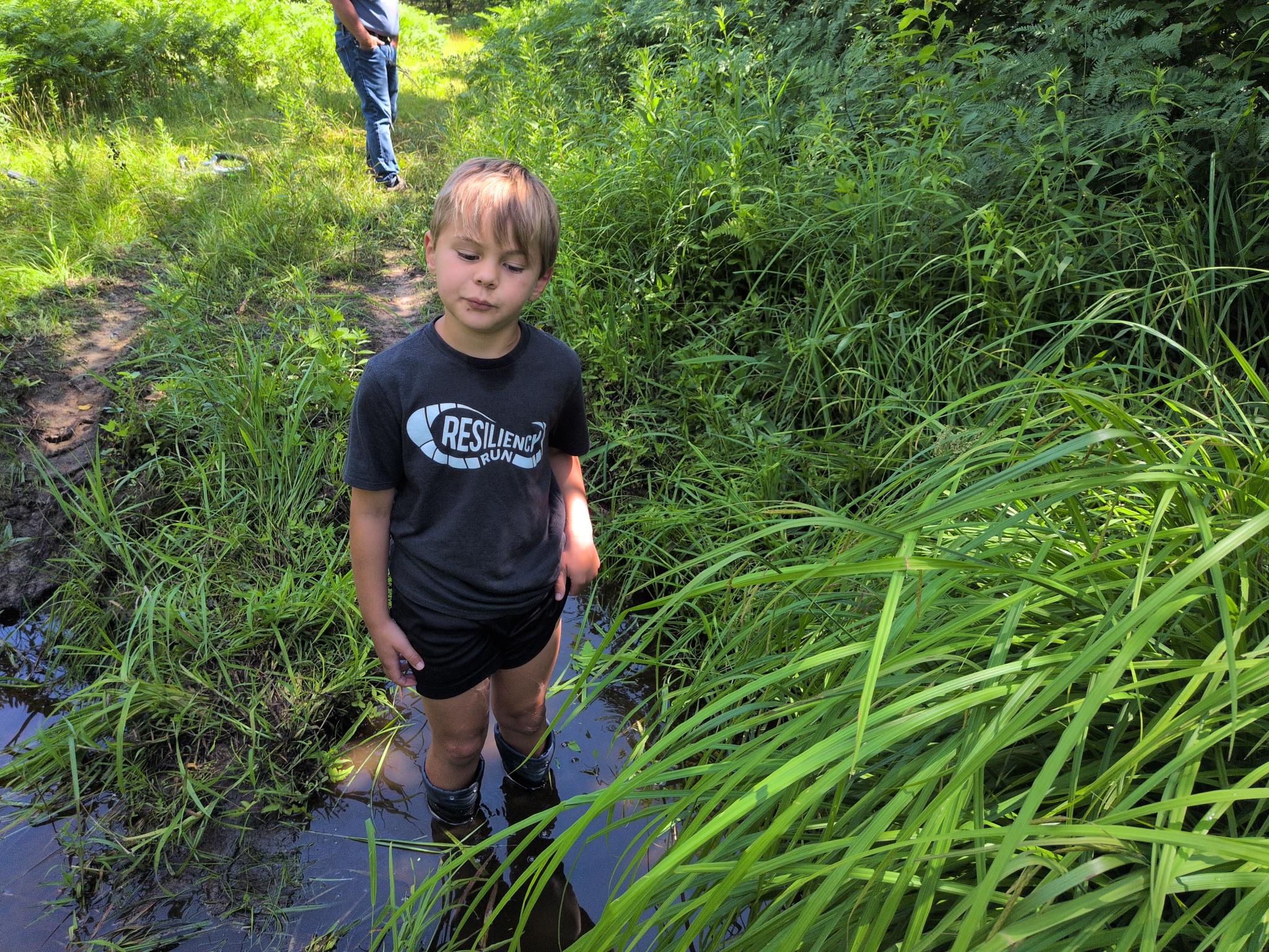 Forest exploring a flooded creek crossing.