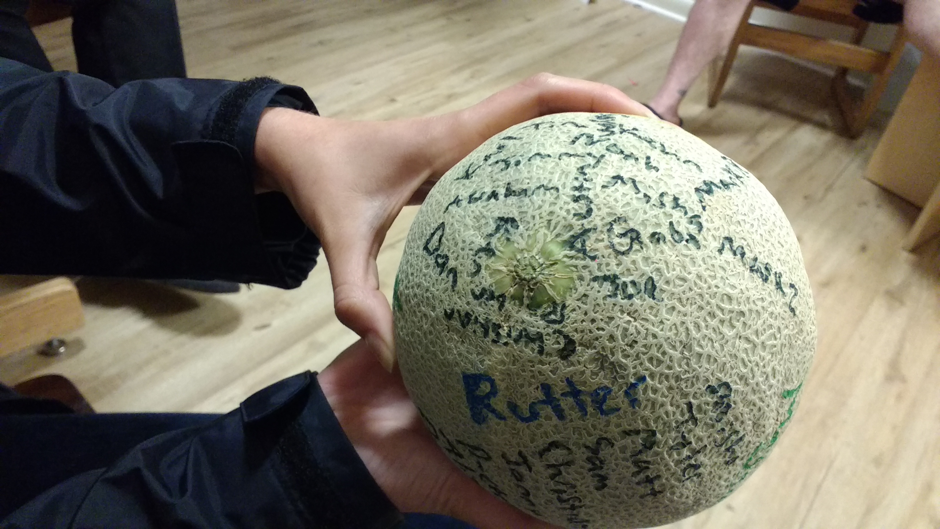 A close up of the cantaloupe