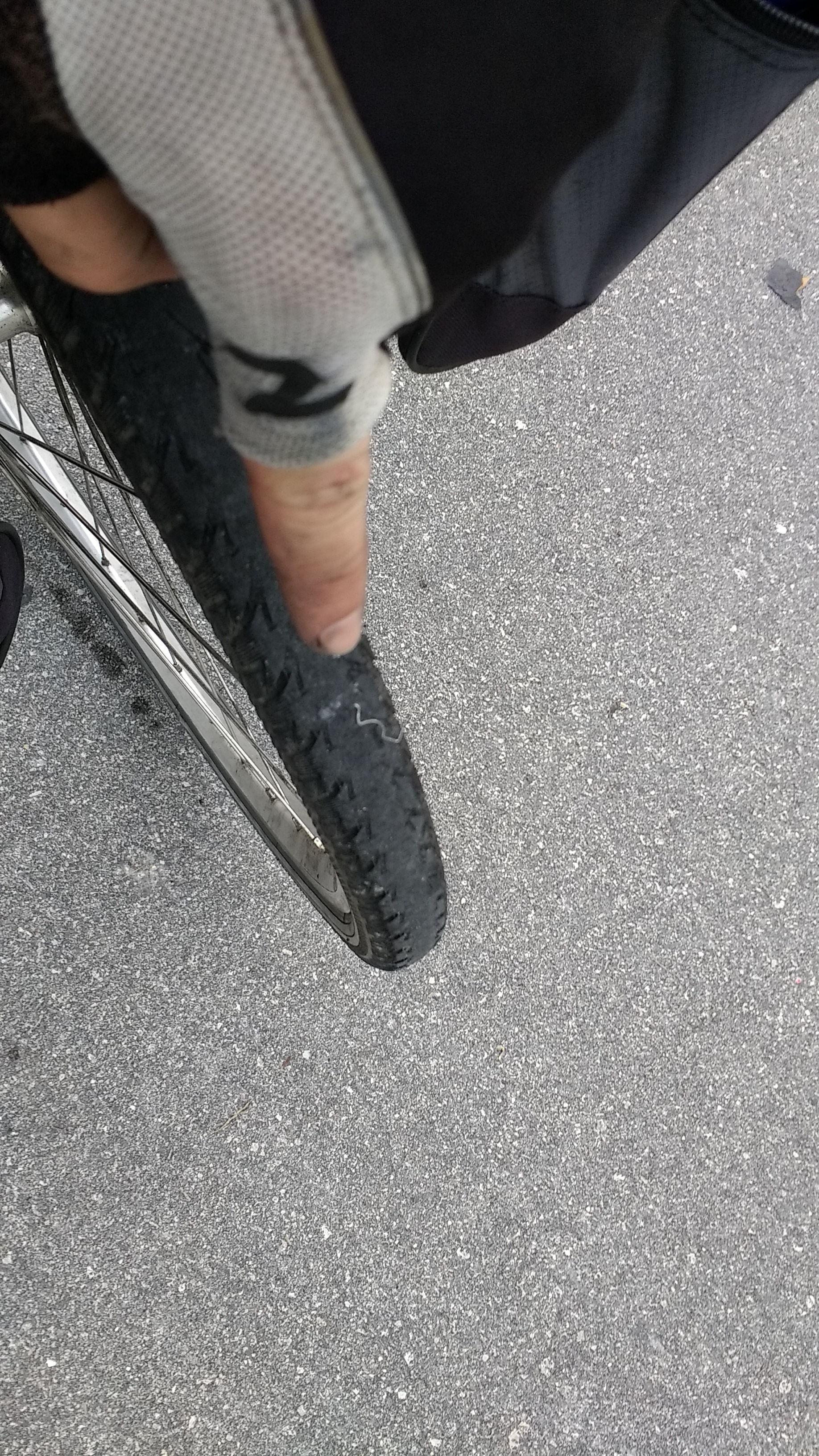 Found a staple in the rear tire after leaving the shop for the second time. Close call.