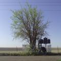 Day 16 -- Amarillo TX to Higgins TX -- Family at the donut shop