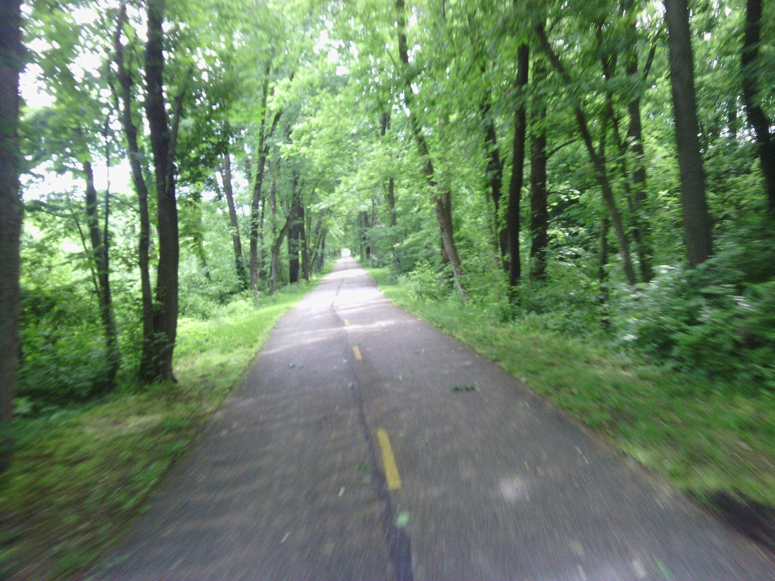 Mostly the trails looked like this.