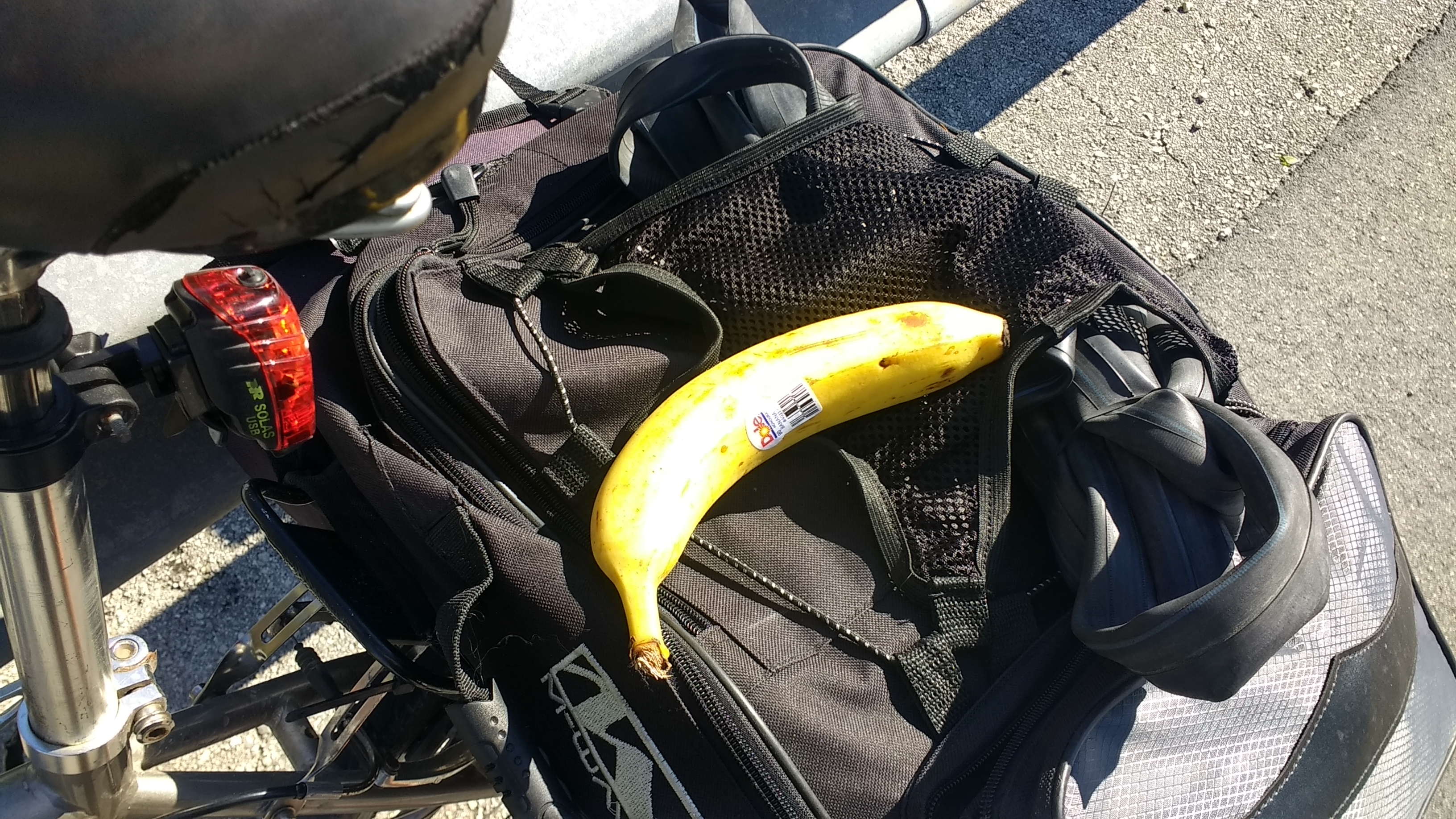 Found the bananas I lost yesterday