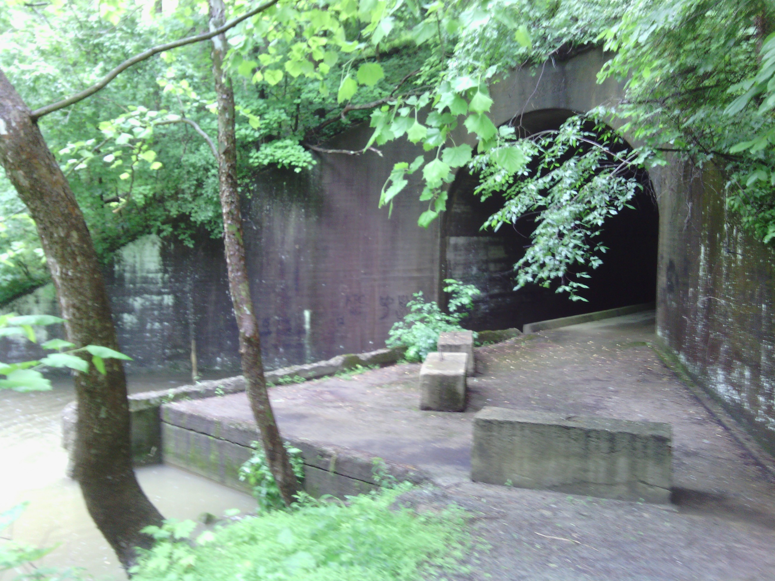My first tunnel