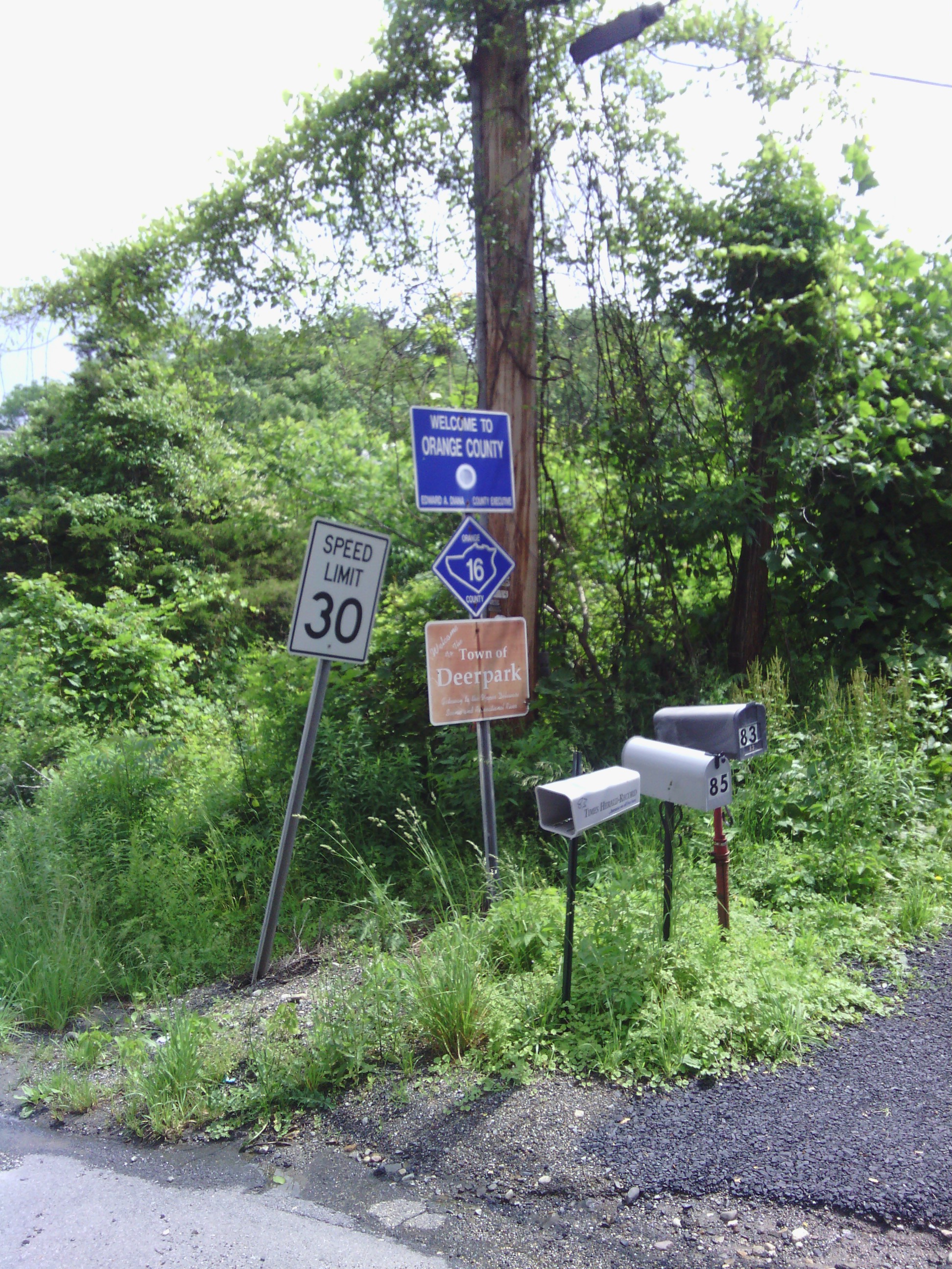 No welcome to New York sign. Just this old county sign.