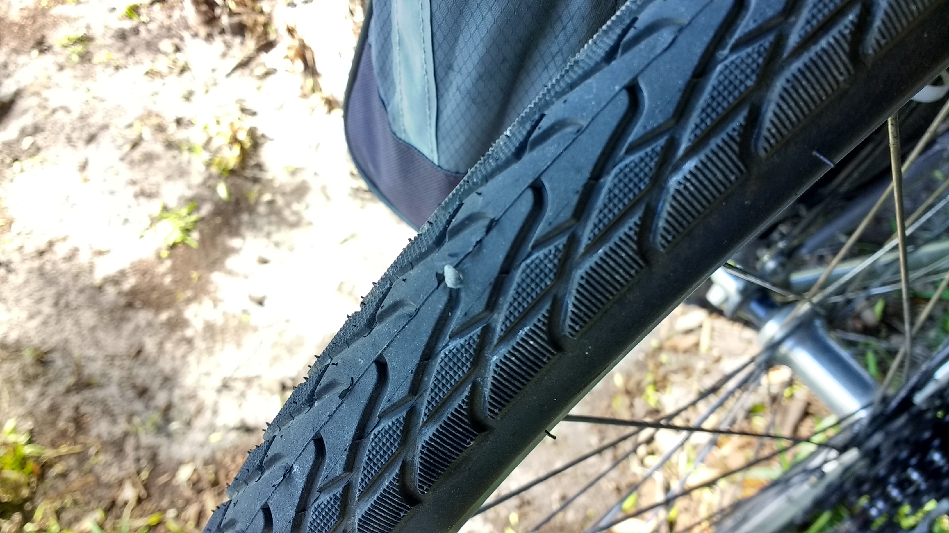 Glass in the rear tire. It couldn&rsquo;t even puncture the tube. Stupid glass.