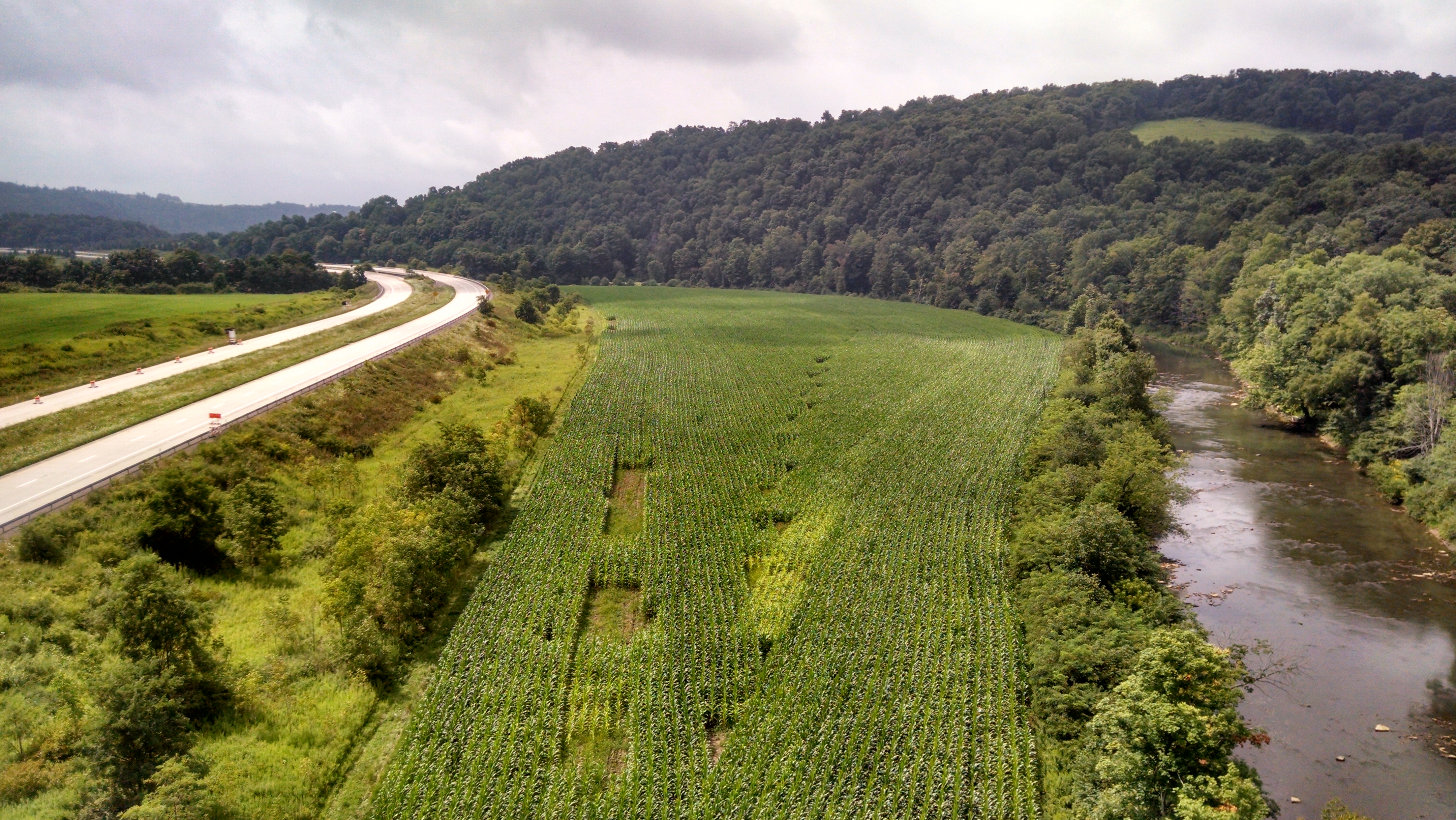 Some scenery from a huge bridge.