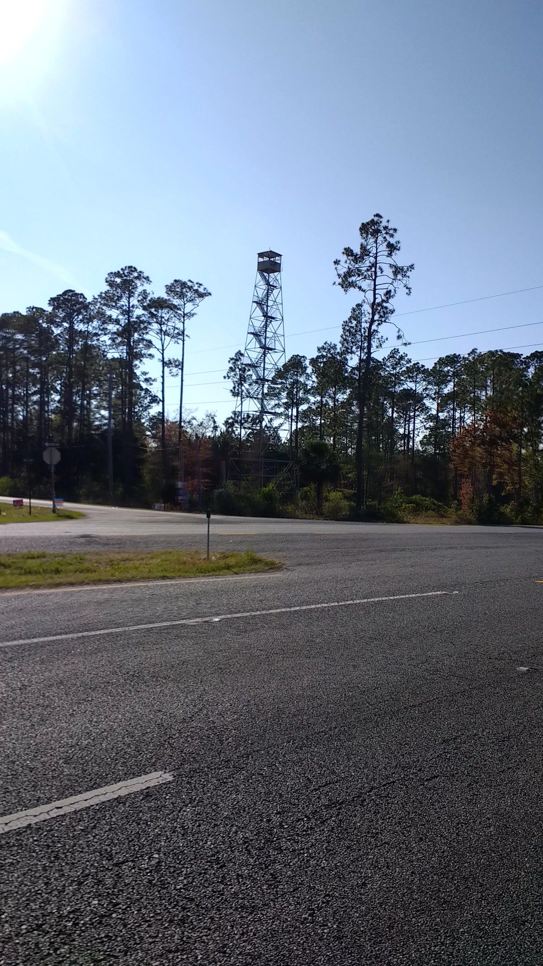 Saw a few of these lookout towers. For fires? For gator armies?