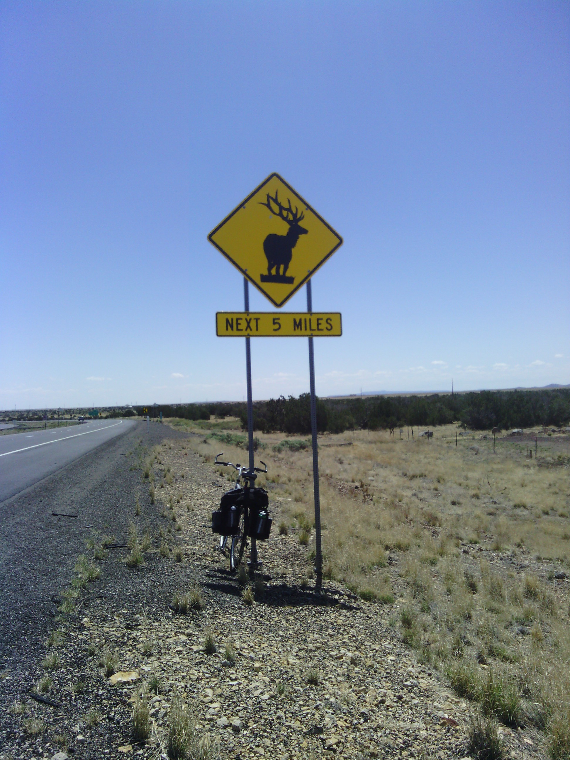 I&rsquo;m in elk country now
