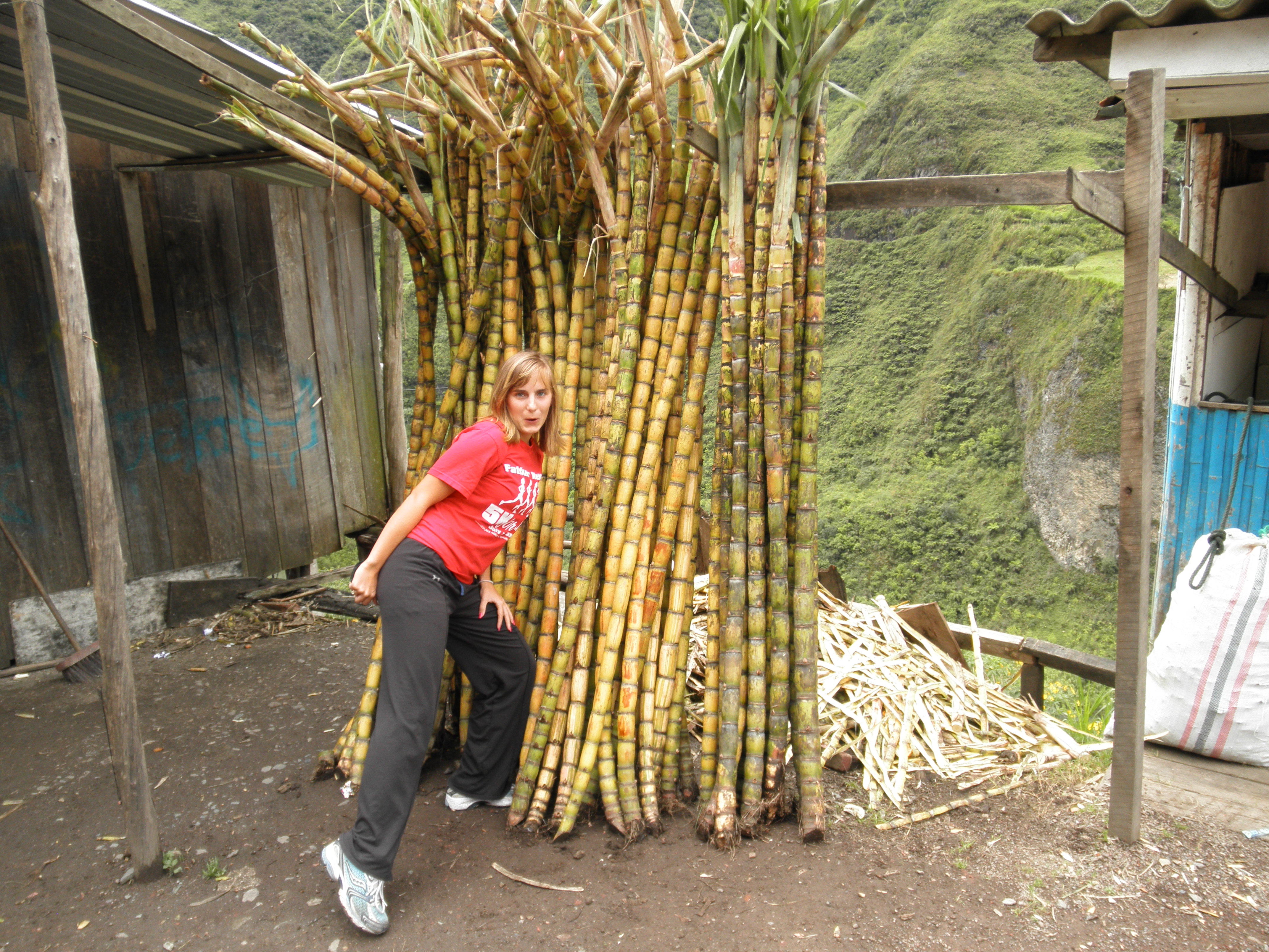 Sarah modeling some sugar cane