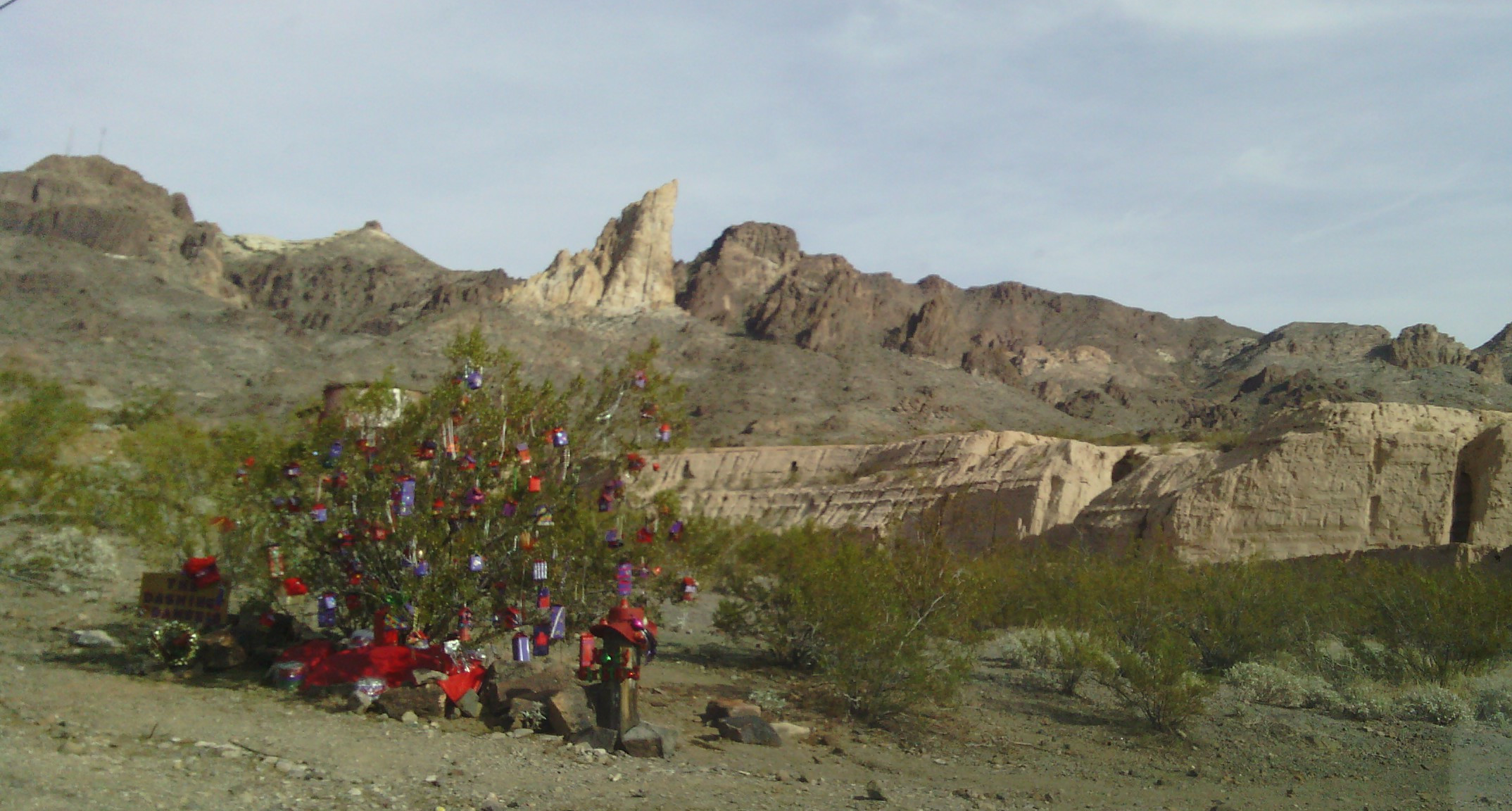 I saw a few of these decorated bushes along the desert road from Mohave Valley to Oatman.