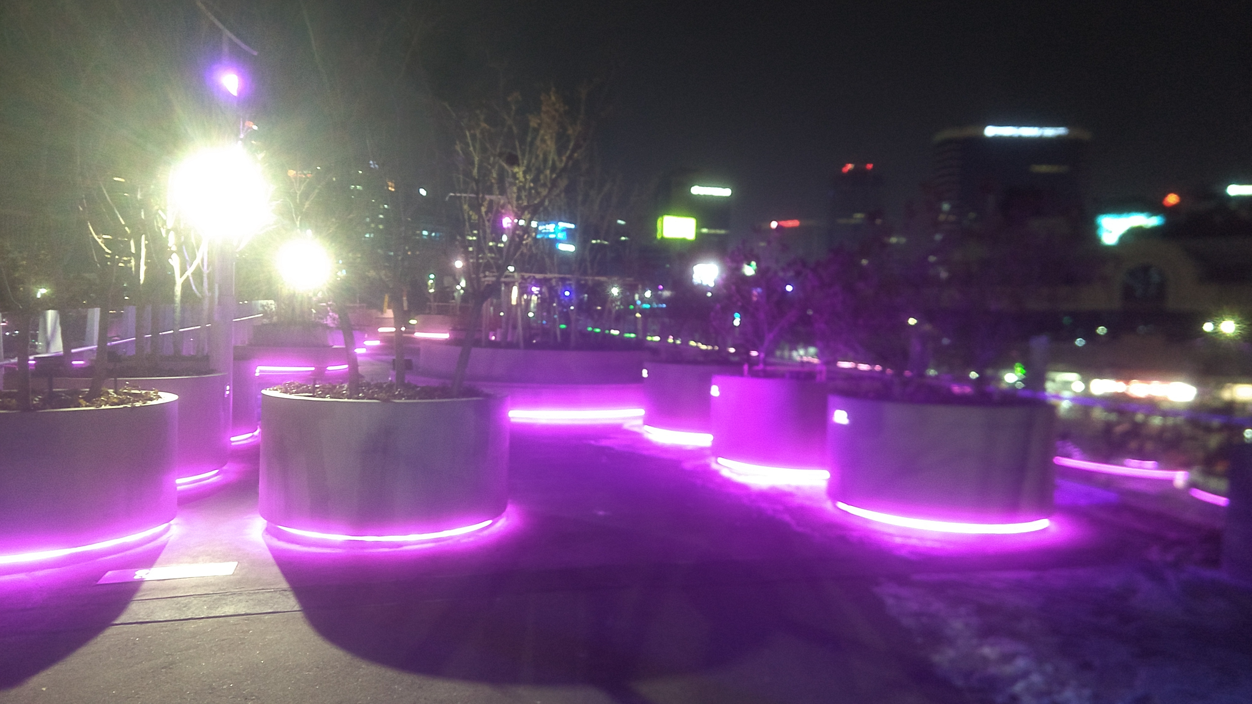 The trippy path