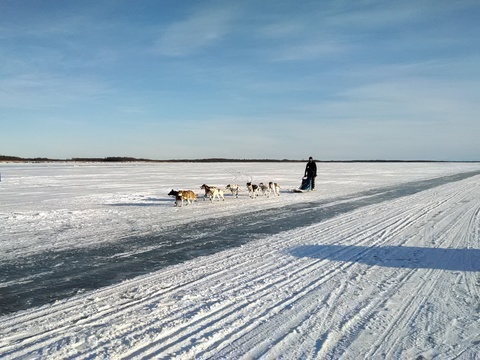 Nate finishing a race on the frozen Kuskokwim river.