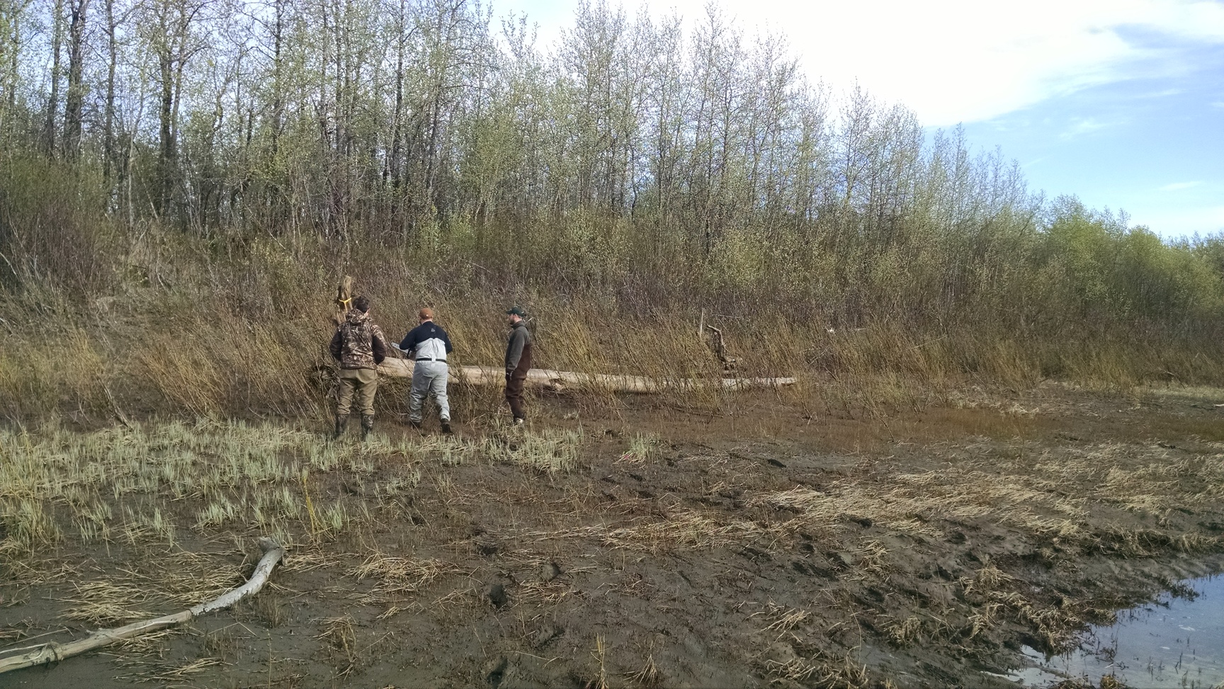 Our first log. We trashed a propeller trying to pull this one out.