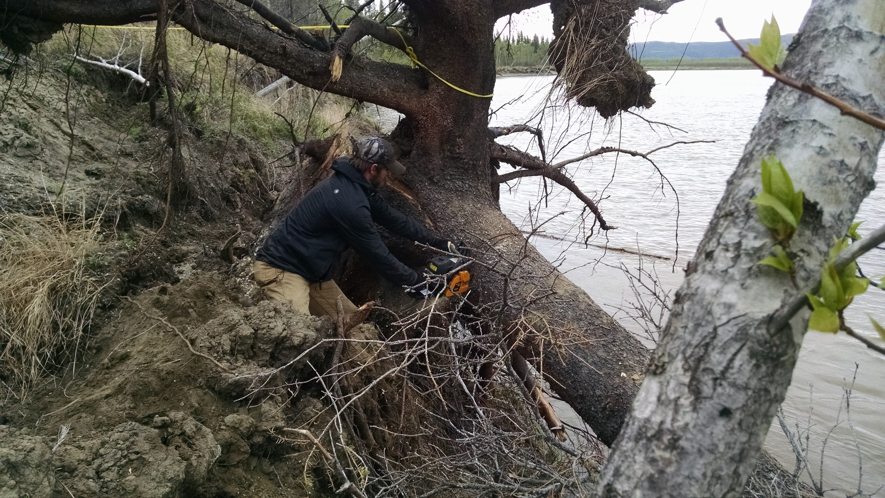 A more dangerous upside-down tree