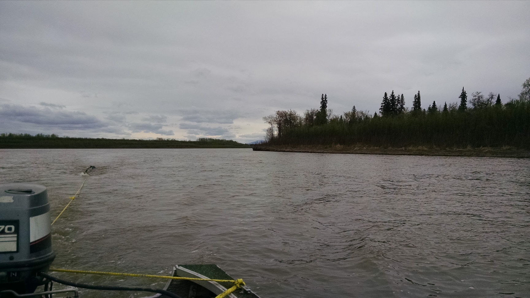 Pulling a couple logs back to camp
