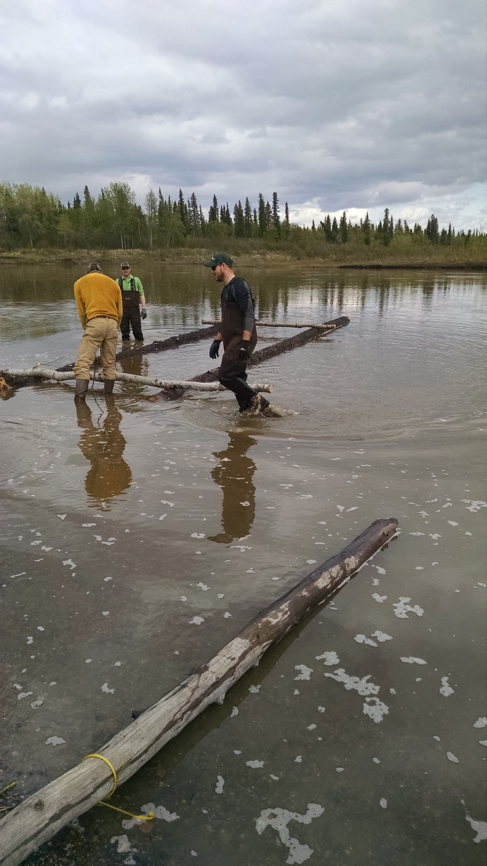 Building the initial raft