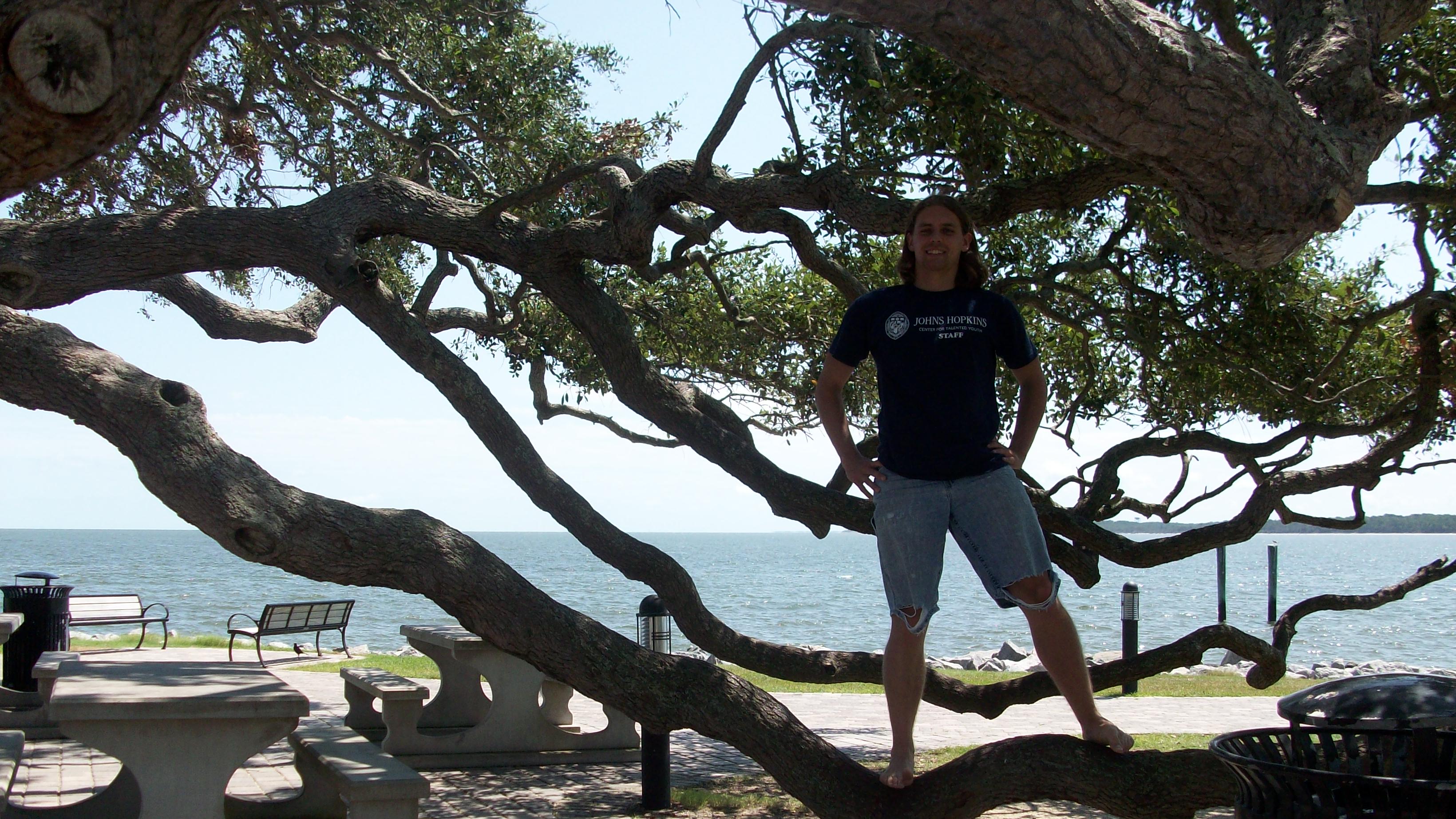 Climbing a tree with super-low branches (right before I fell off)