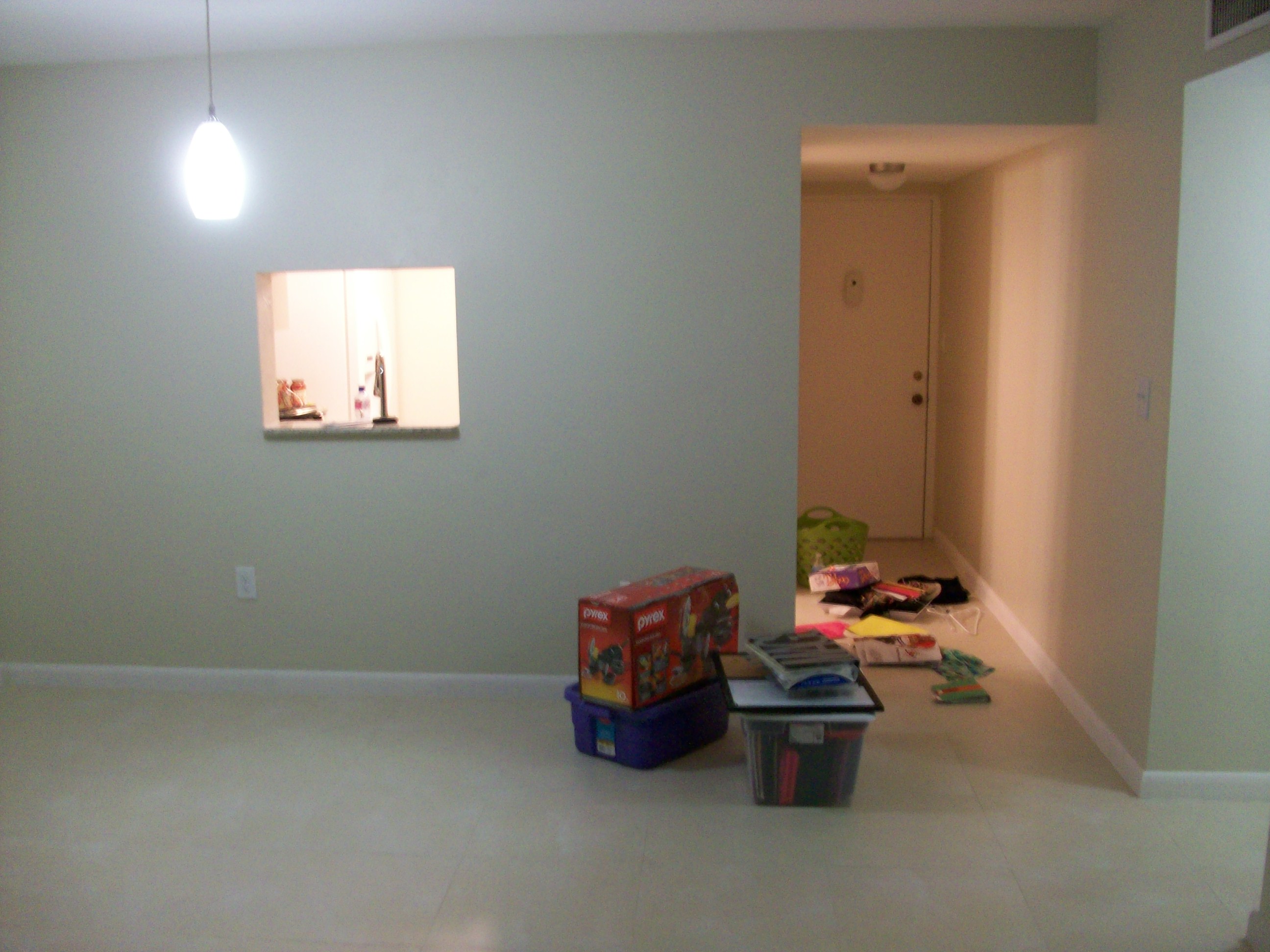 Livingroom, Kitchen, and Entry at Sarah&rsquo;s new place