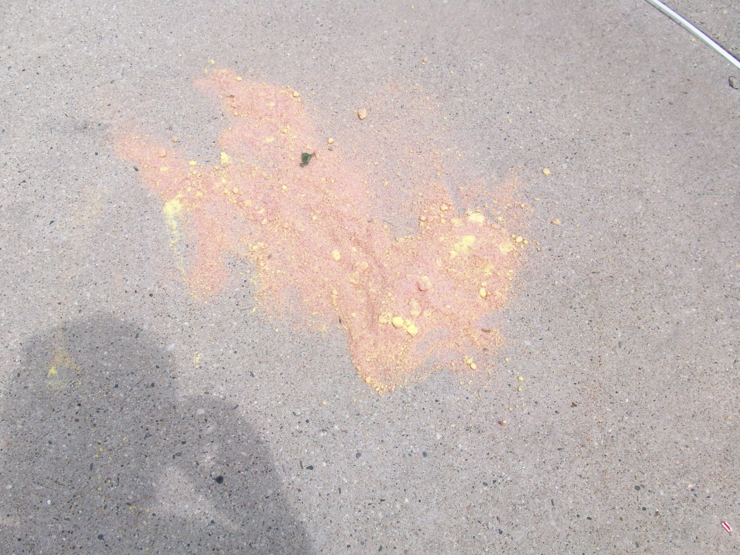 Right after I took off with Sarah, the gatorade powder exploded in my bag. This is the remnants.  Looks like puke.