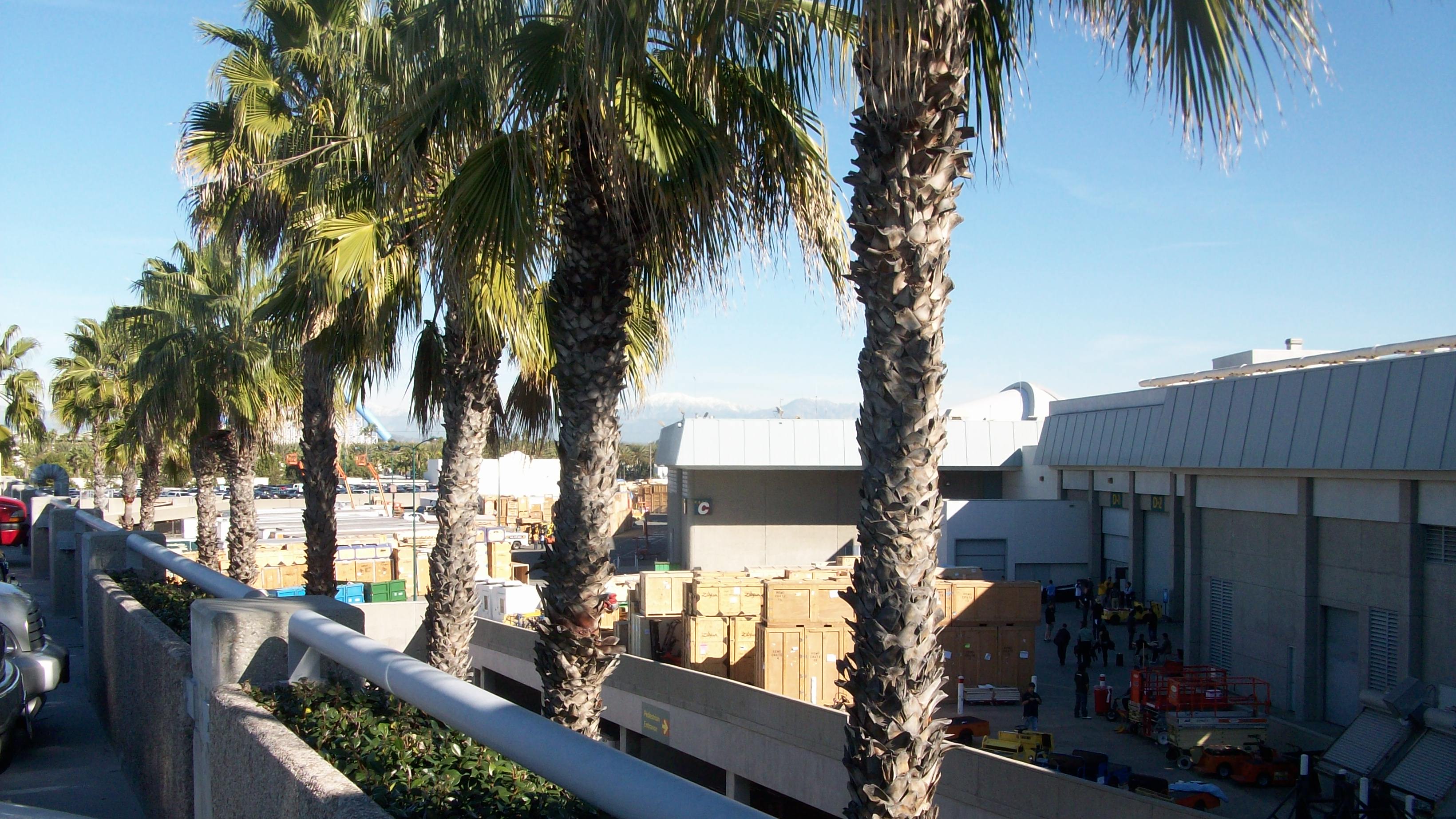 Palm trees, clear skies, and snow-covered mountains as we were walking in. The whole scene Couldn&rsquo;t fit in a camera frame.