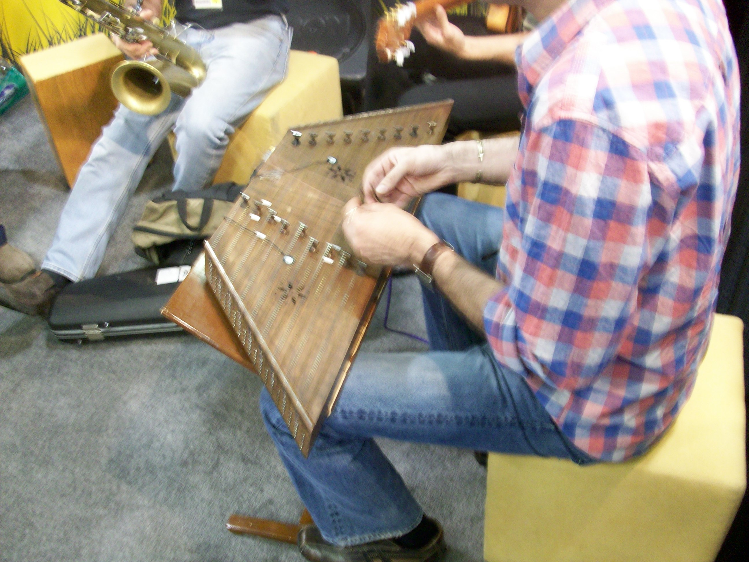 There was also a wide variety of instruments.  This guy is playing a hammered dulcimer.