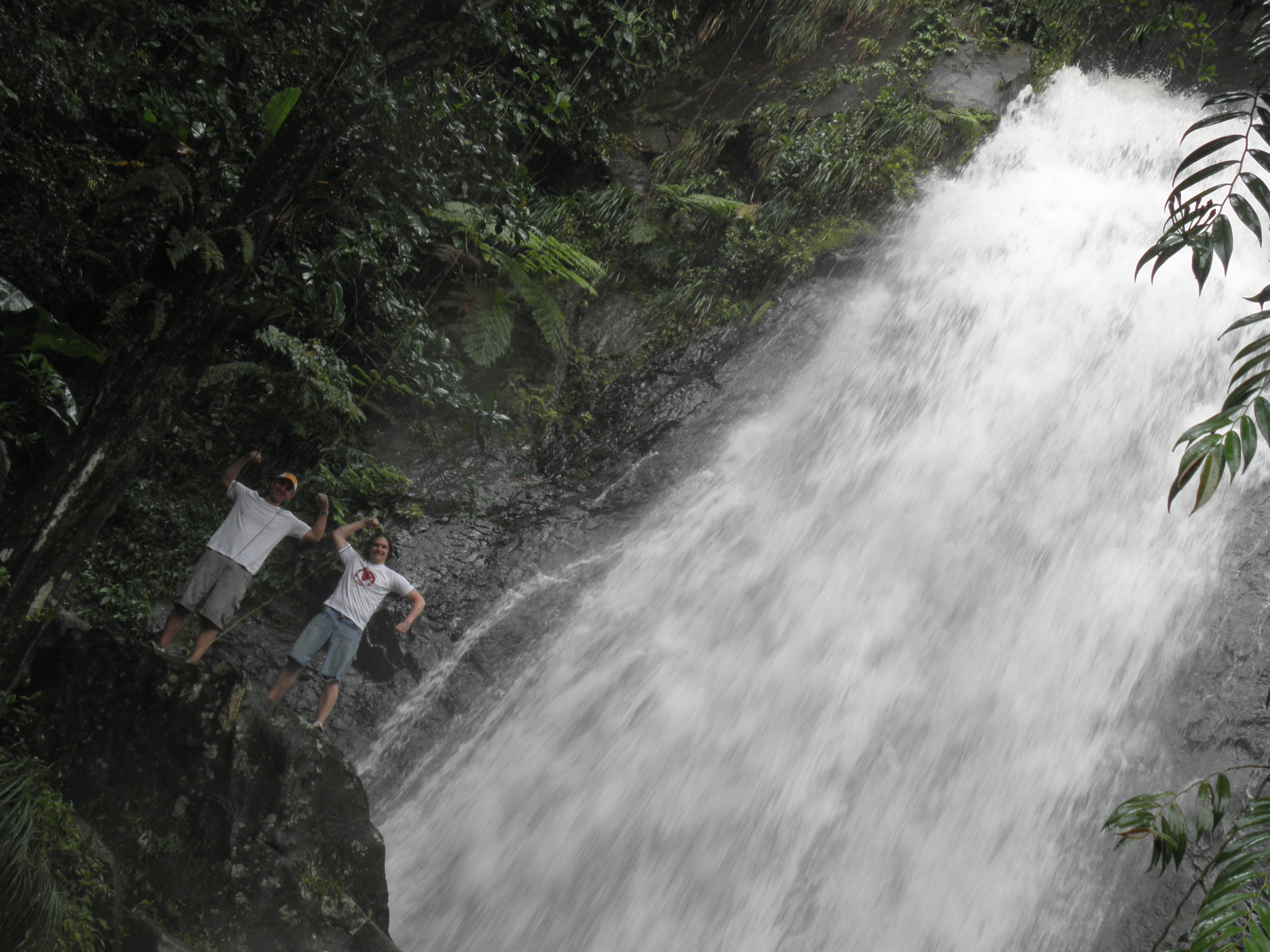 We went hiking in the rainforest too.