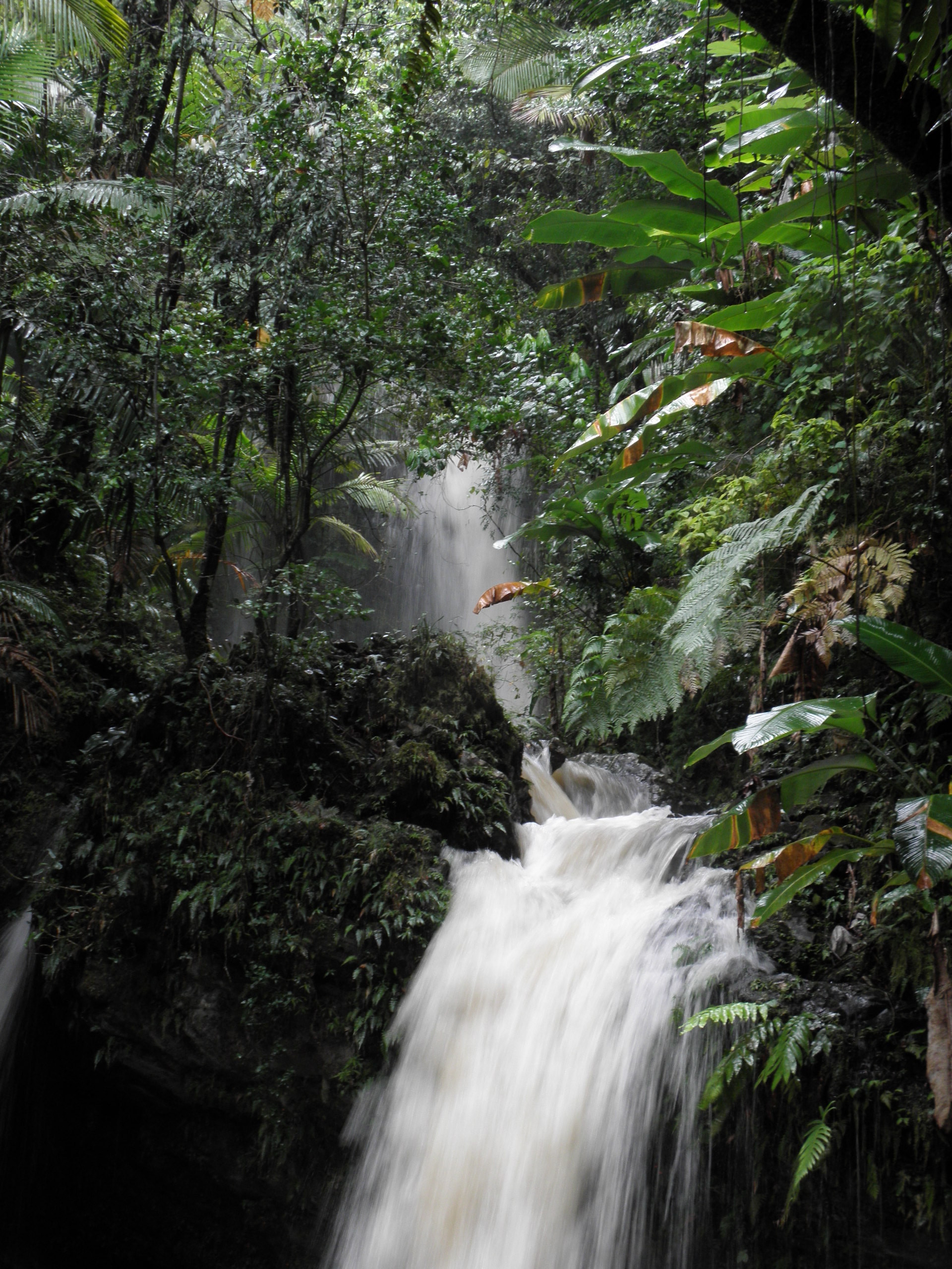 There were lots of scenic waterfalls.