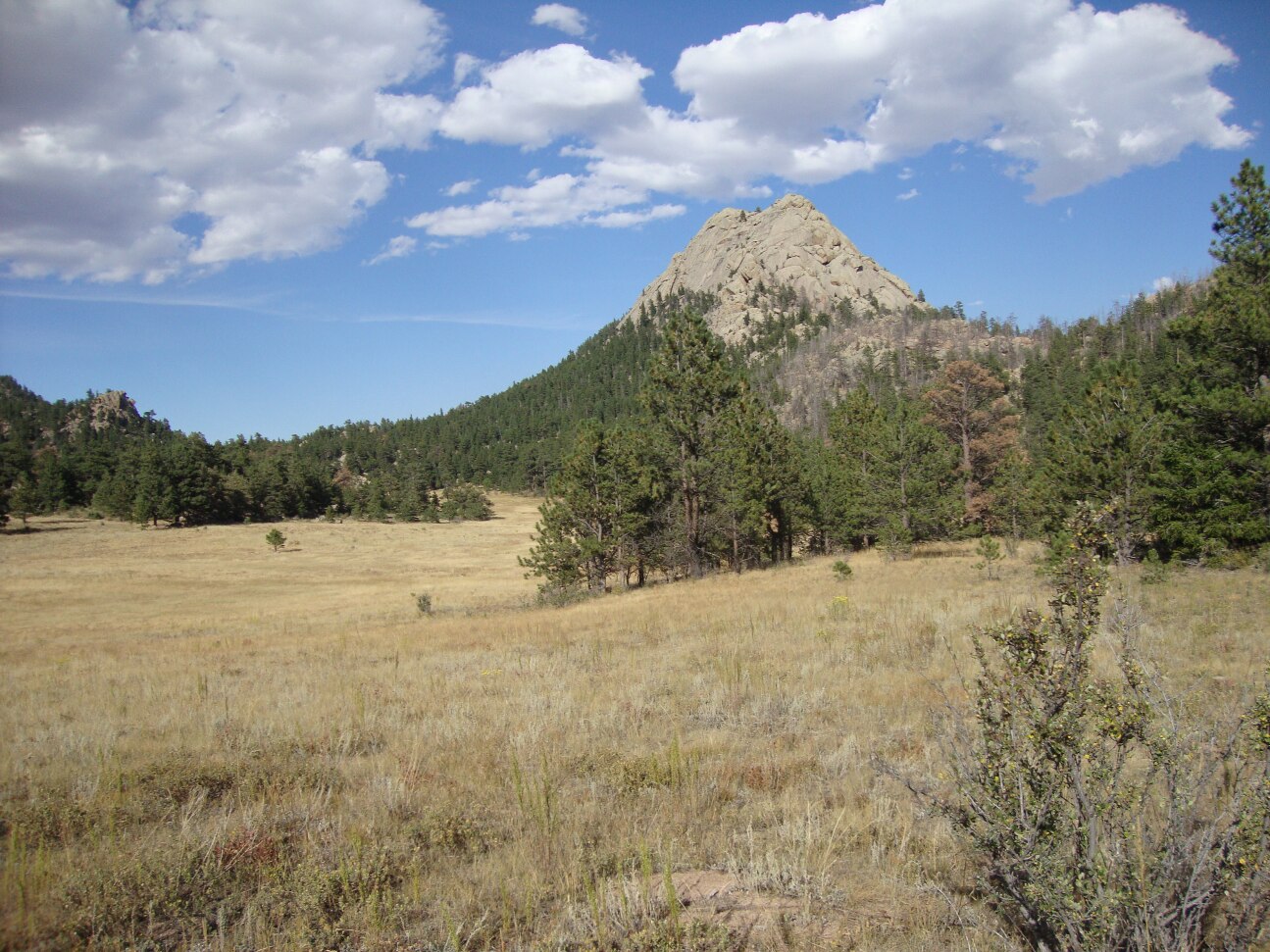 Eventually the trail opened up into this big meadow