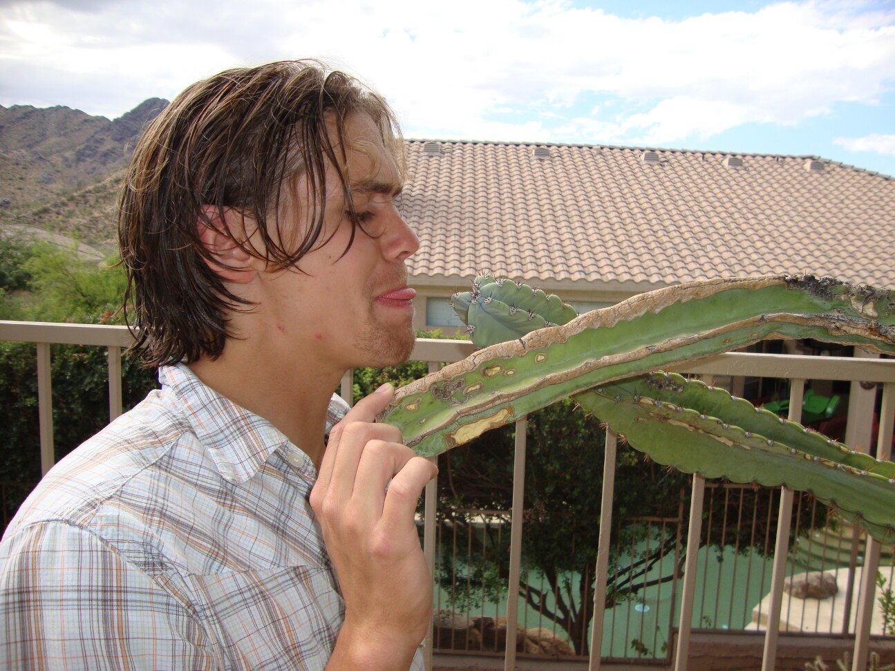 Mmmmmmm, cactus