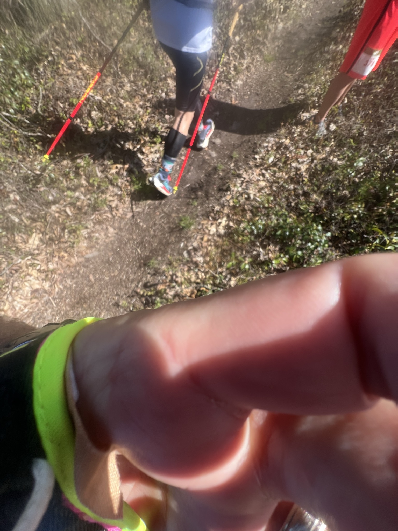 Finishing up a pee stop
