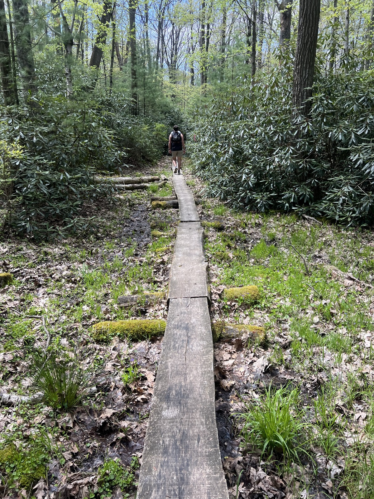 More trail