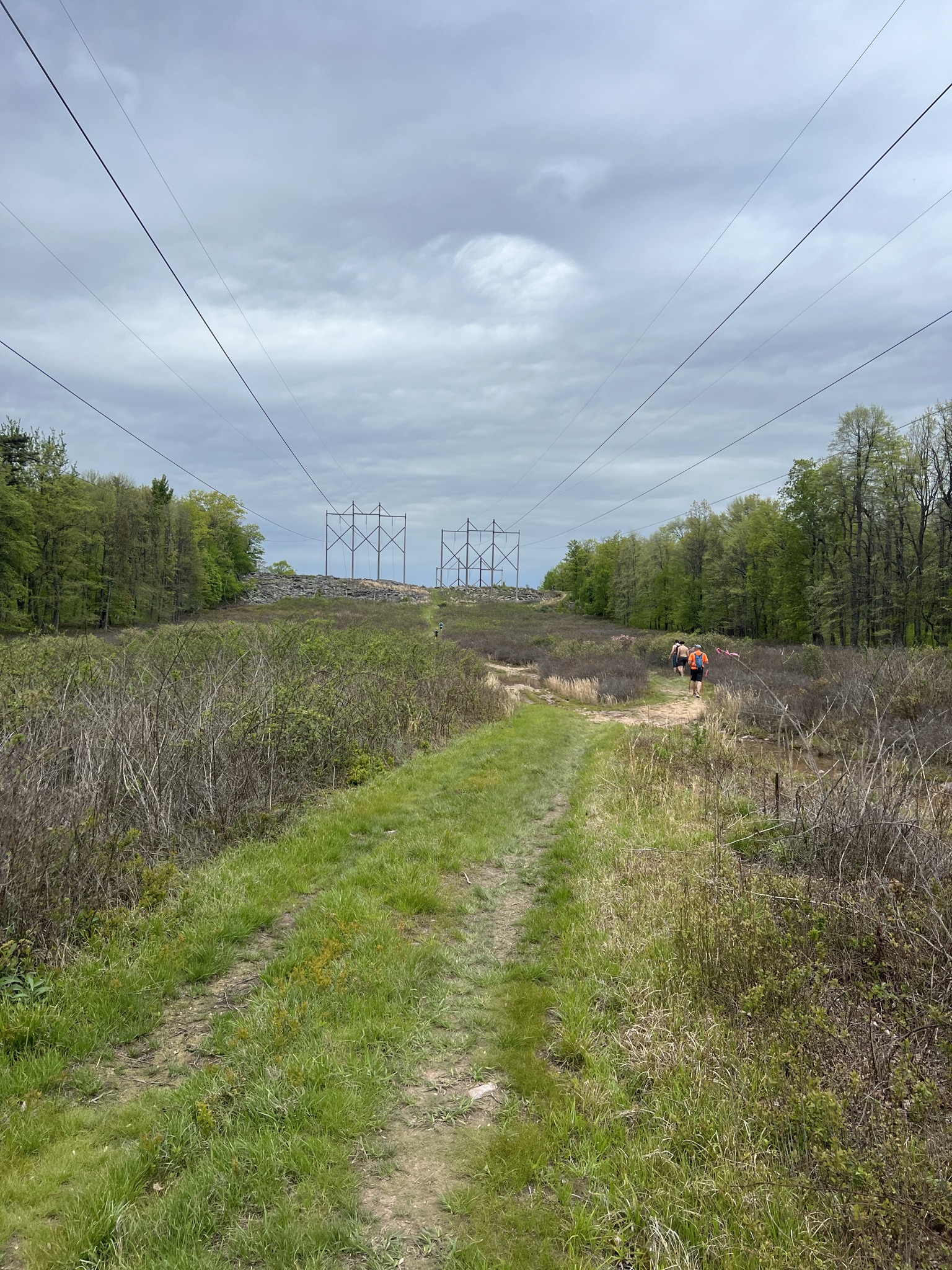 We ran under these cursed power lines for a mile or two