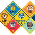 Scouts and their Values